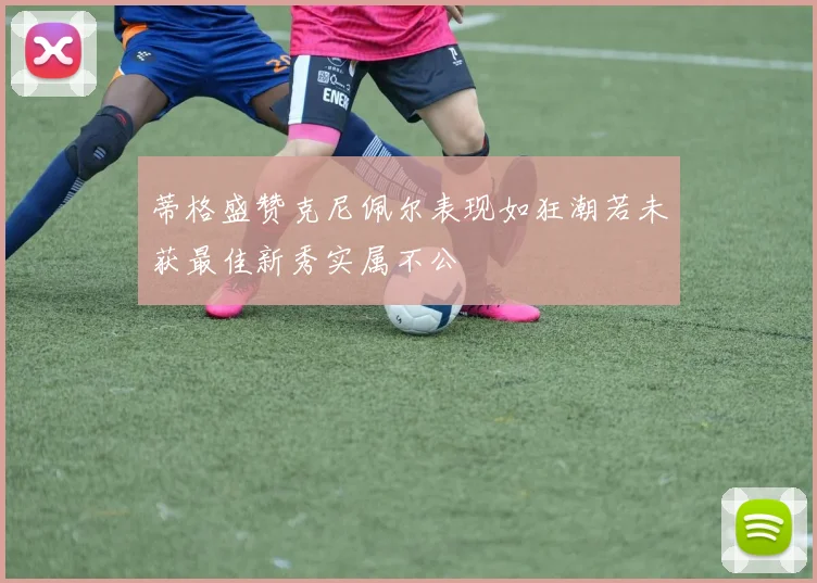 蒂格盛赞克尼佩尔表现如狂潮若未获最佳新秀实属不公