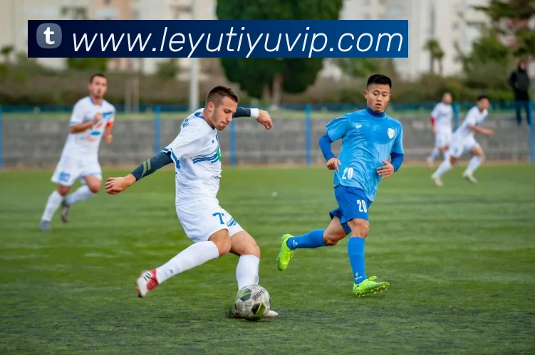 乐鱼体育品牌故事