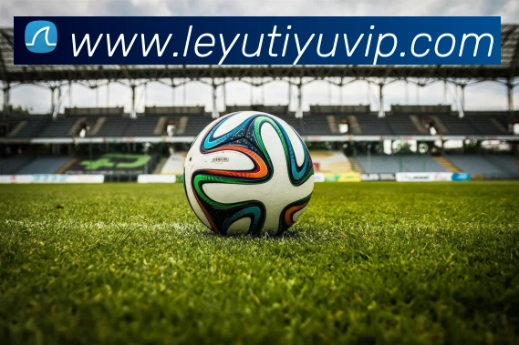 乐鱼体育服务体系